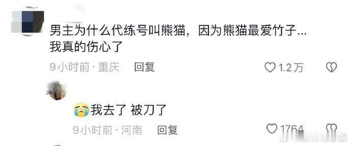 为什么代练的网名叫熊猫，因为熊猫爱竹子... 可是竹子是空心的啊[苦涩] 胖猫在