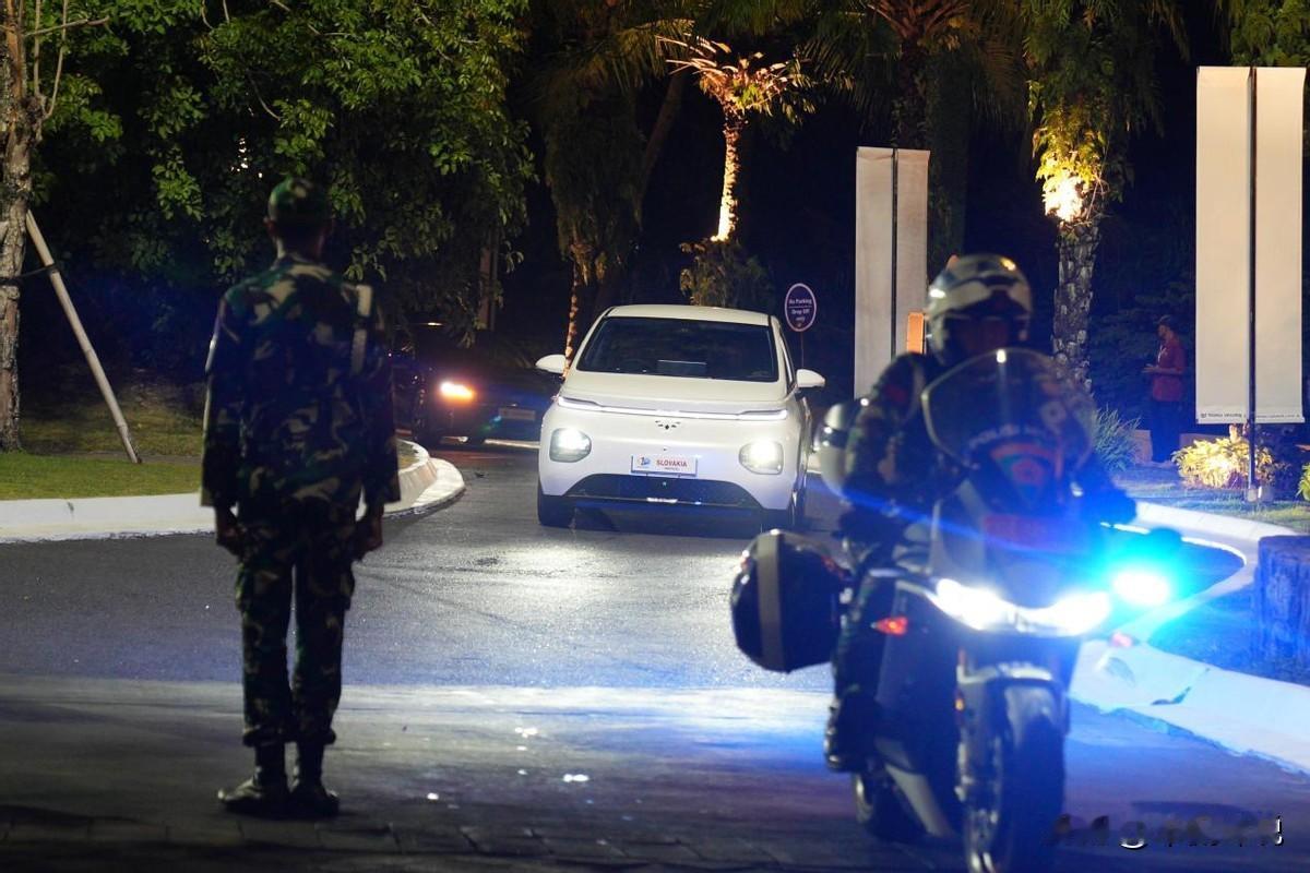 宝骏云朵成功出海，还成为第10届世界水资源论坛官方用车

近几年，新能源车出海成