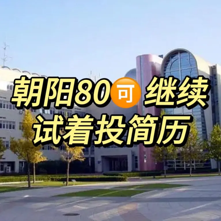 朝阳XSC🔥80什么样简历的孩子能上岸