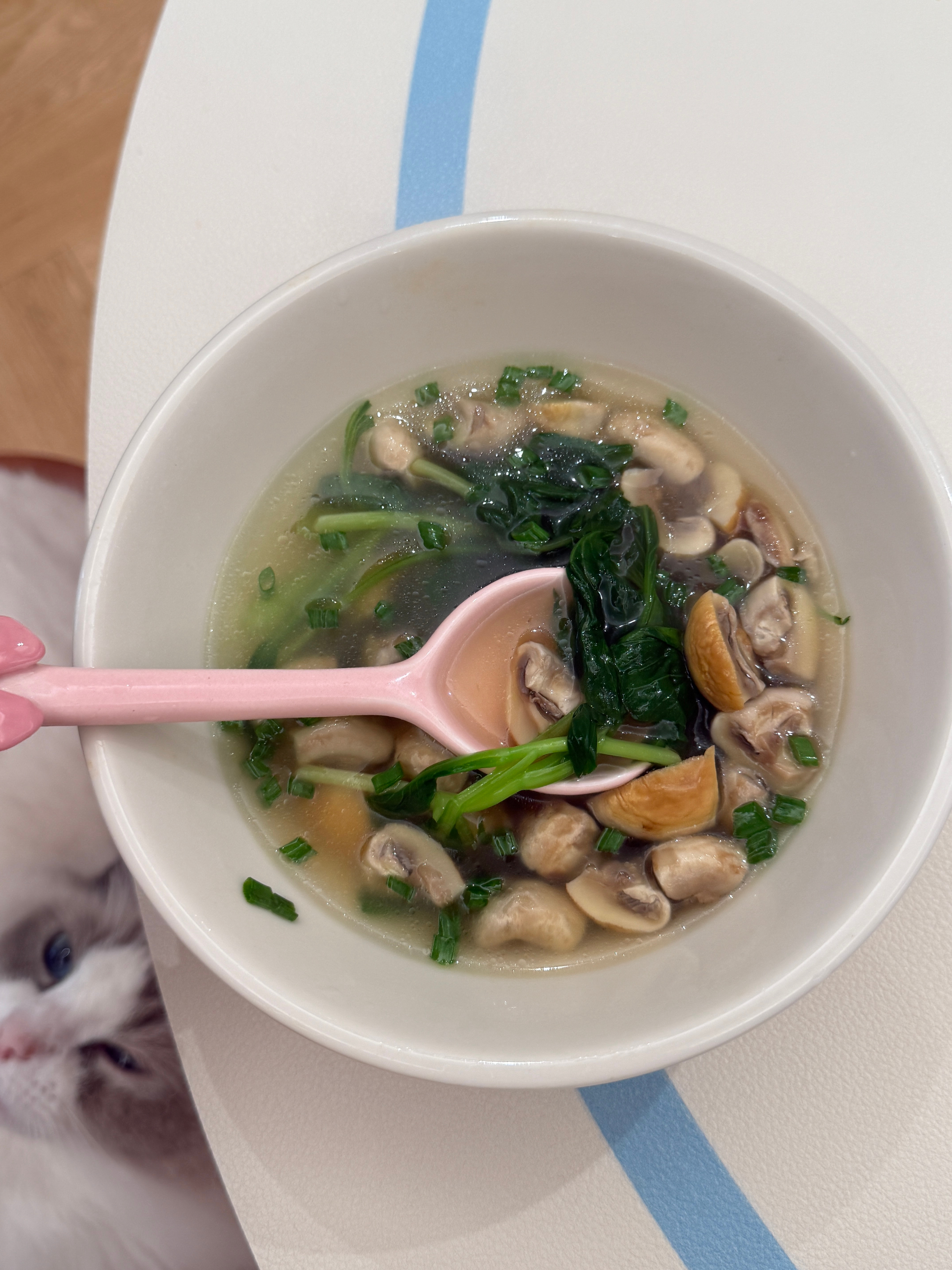 换成美味口蘑汤啦很爱这种高钾排水的食物！！ 