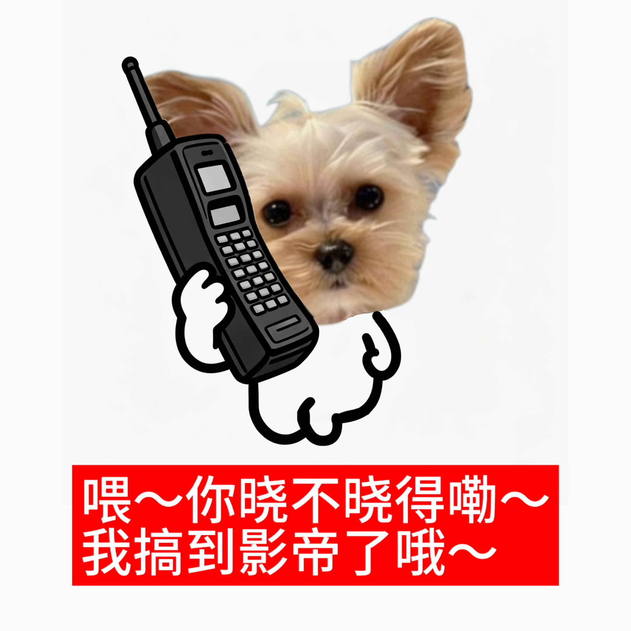 以后我续火都是这个了[doge] ​​​