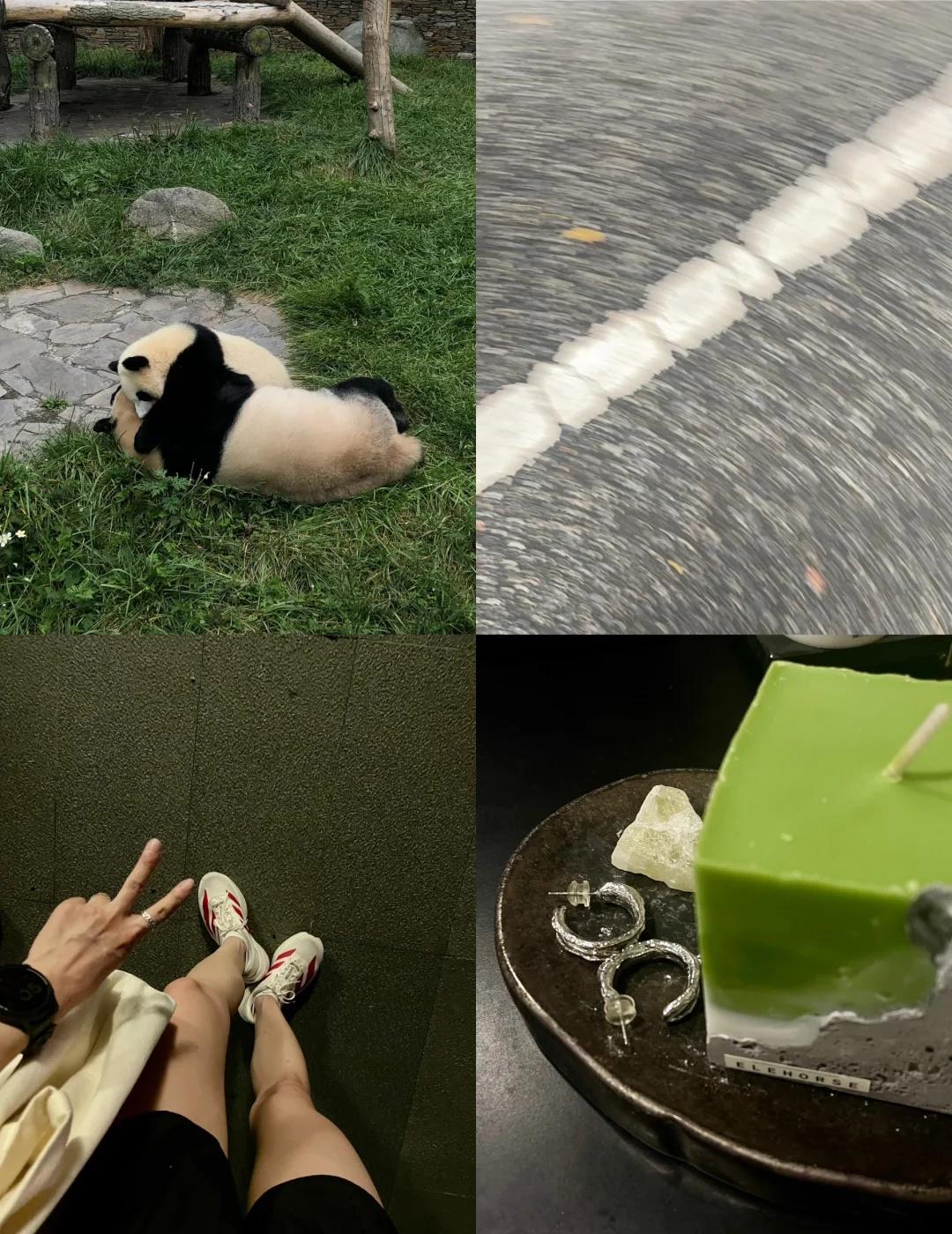 Daily 🚗| 又想秋游啦🍁
人总归要出去走走的
和自然的联系关乎精神的恢