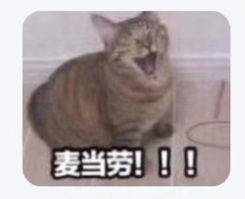 5967【】想蹲蹲这张表情包，图是空间刷到的春日放个疯 ​​​