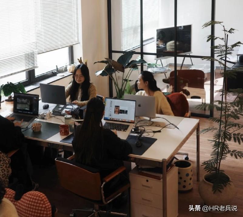 谁能想到，张雪峰老师事件对我们公司的影响还在继续：首先公司紧急安排了一场急救知识