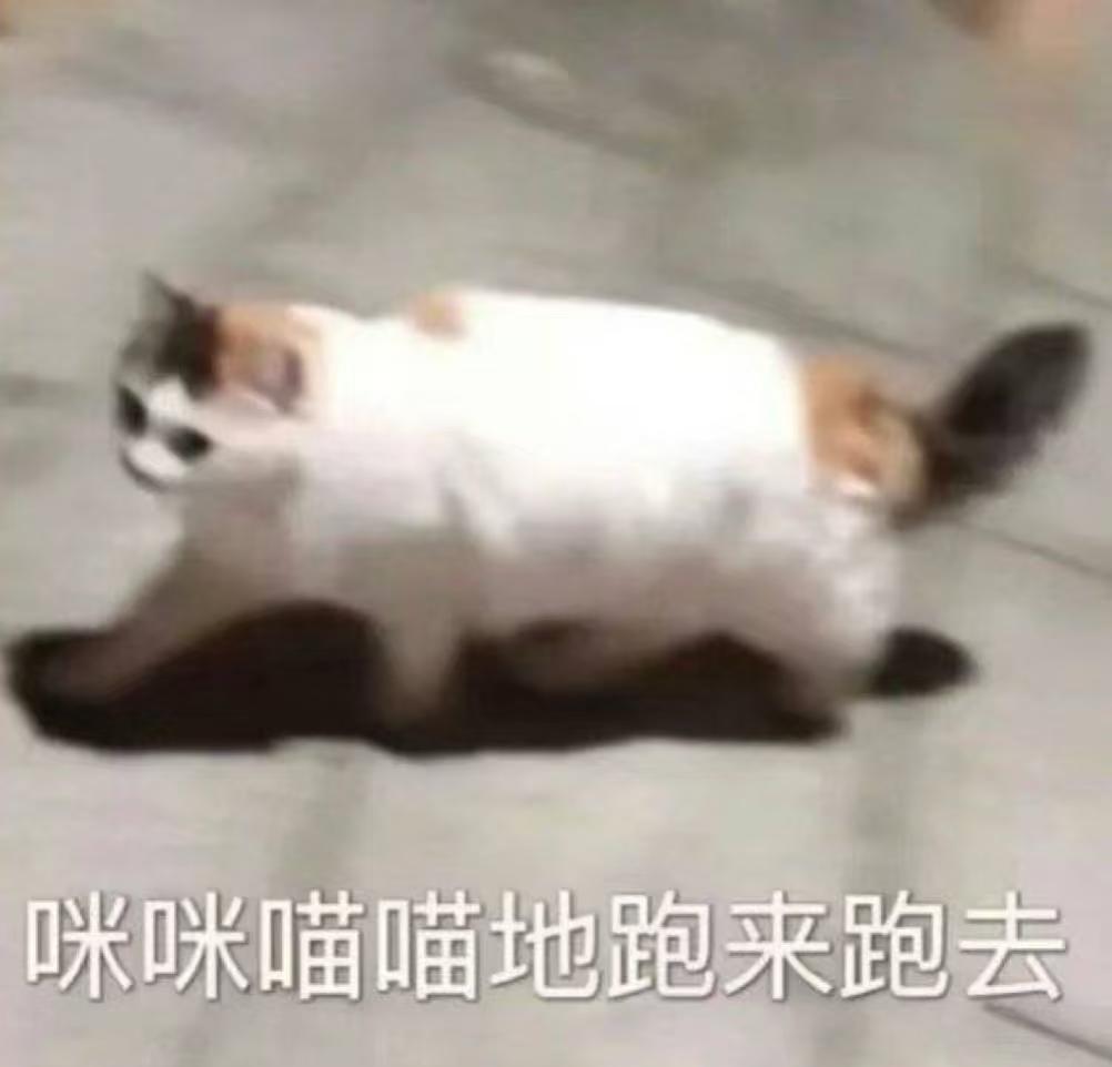 终于被人发现我不是哑巴了！
由于重感冒被迫在法国街头失语一整天之后，终于有法国哥