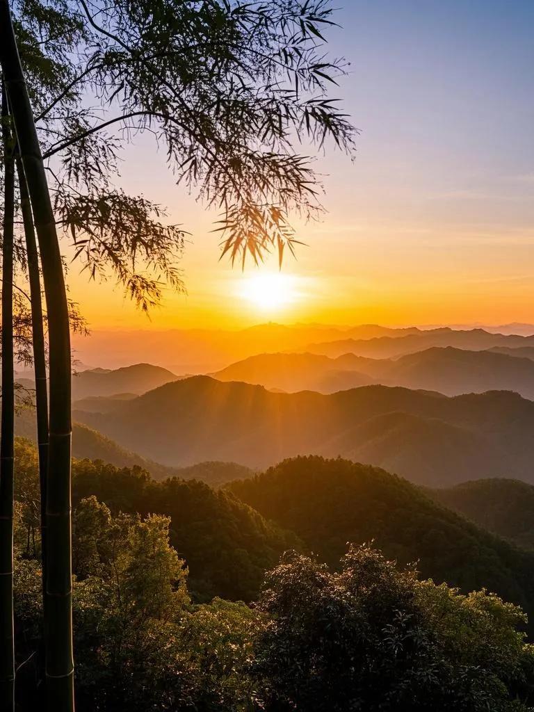 夕阳西沉，井冈山被金纱笼罩。翠竹沙沙，似诉说故事，余晖与山峦、林海交织，美到令人