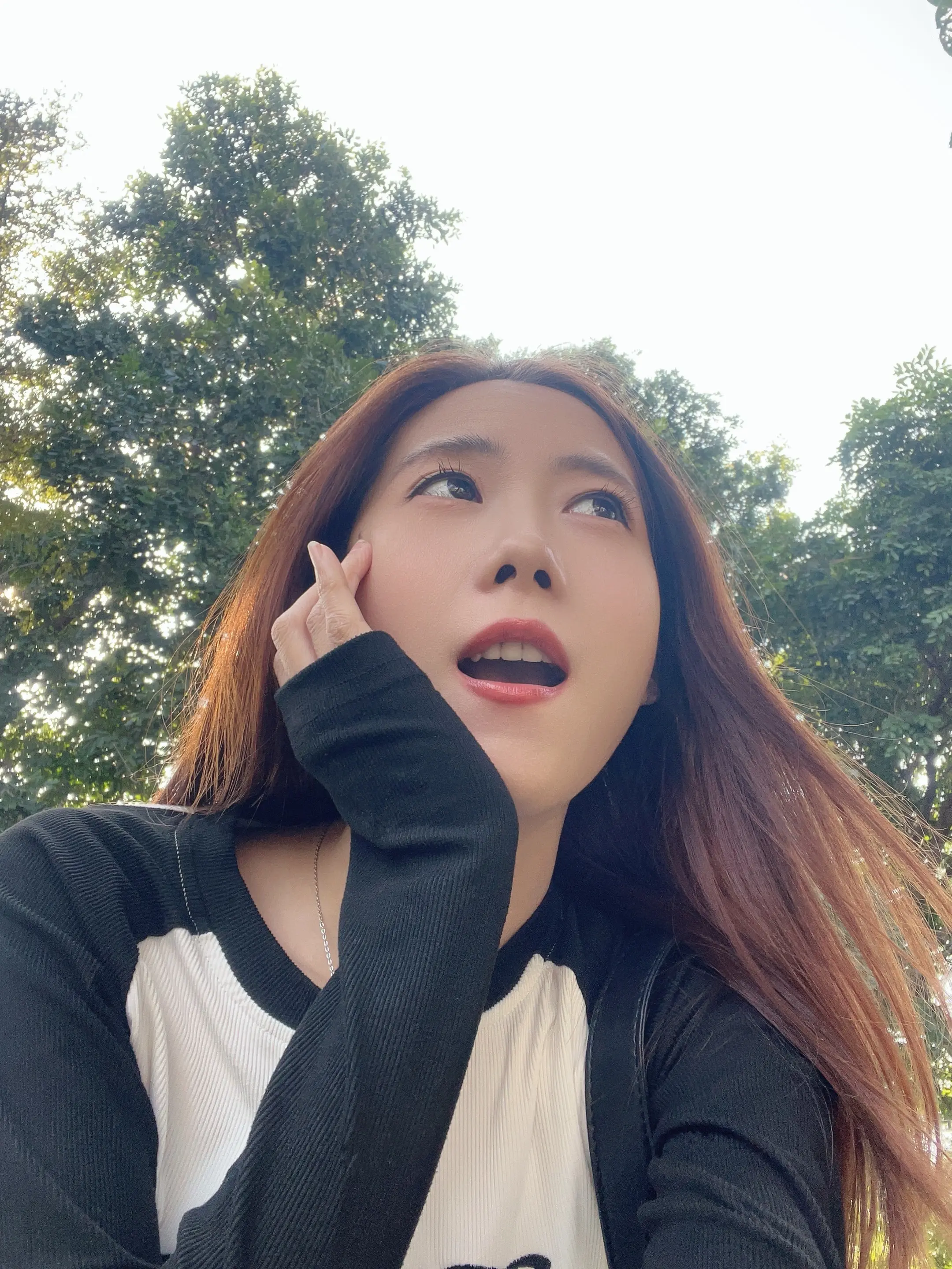 发誓要做个晴朗的人
