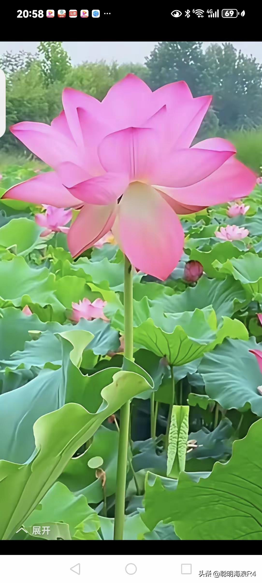 《卜算子·人生悟》

心藏一寸清，
口敛千般语。
不逐浮嚣守自身，
稳立红尘局。