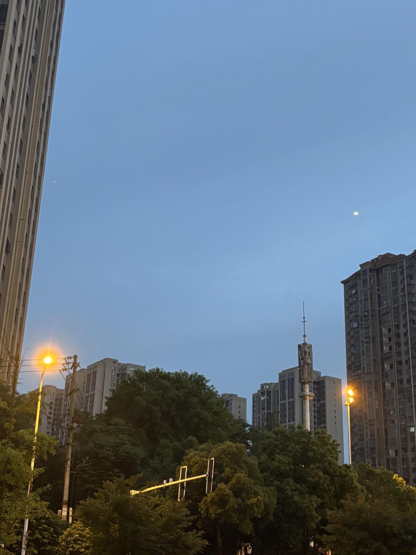 我已经又习惯了一个人生活