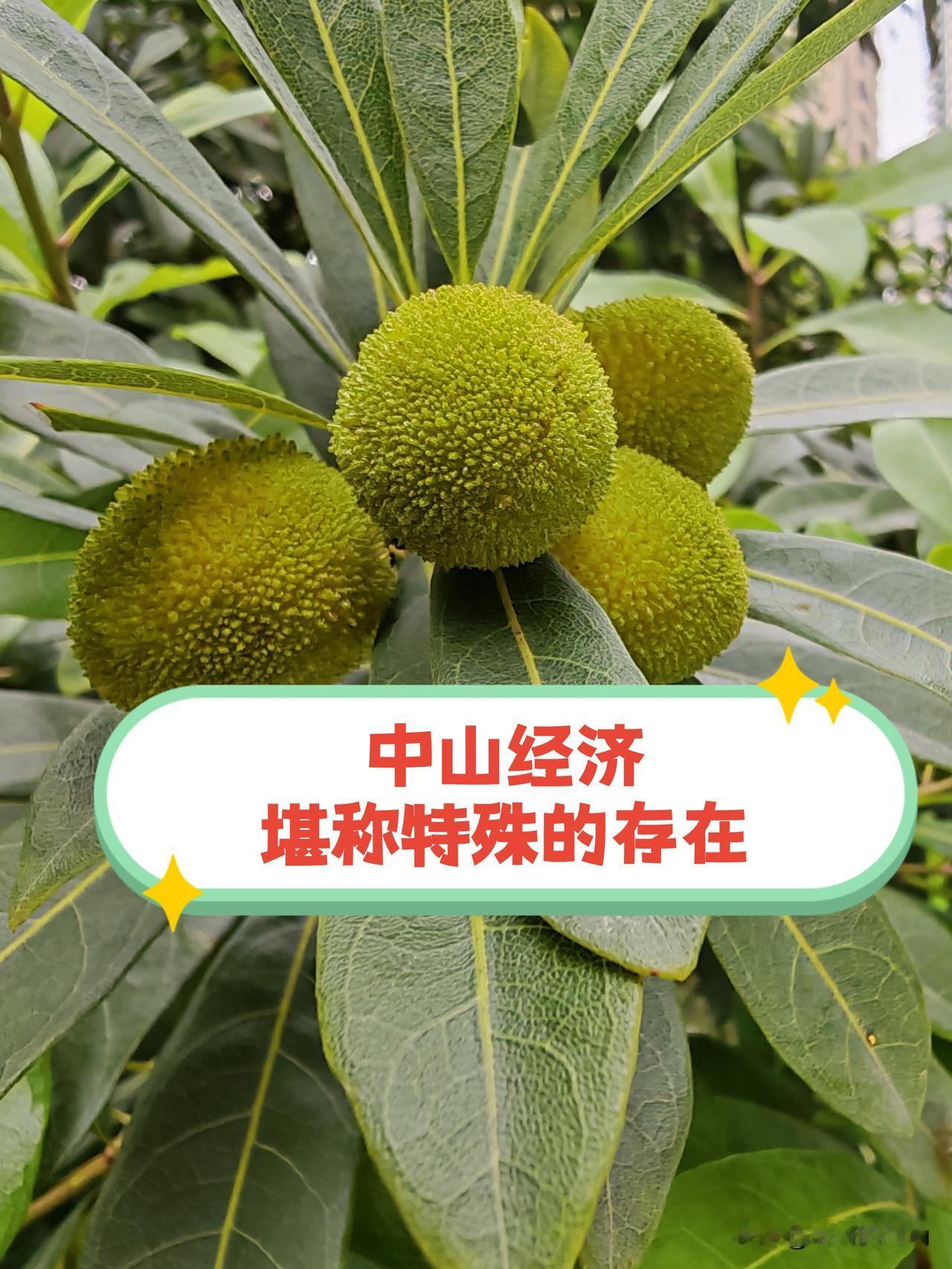 中山经济在国内堪称一个颇为特殊的存在。从GDP体量和常住人口规模来看，中山在城市