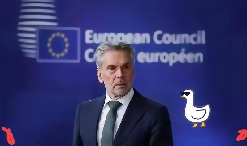 快讯 快讯！
荷兰又对东大泼脏水了。
​10月27日据路透社报道，四名荷兰政界人