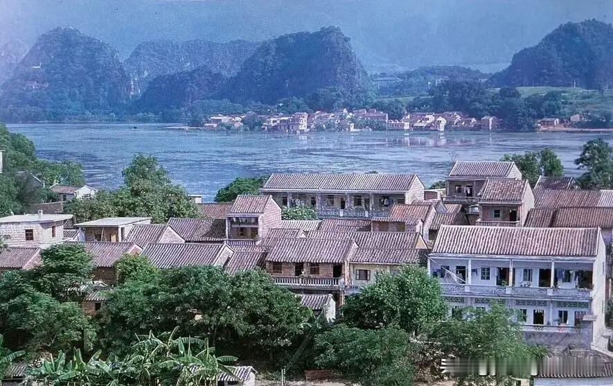 一张上世纪70年代的肇庆七星岩老照片。画面中星湖旁边的这个村庄是否就是今天肇庆岩