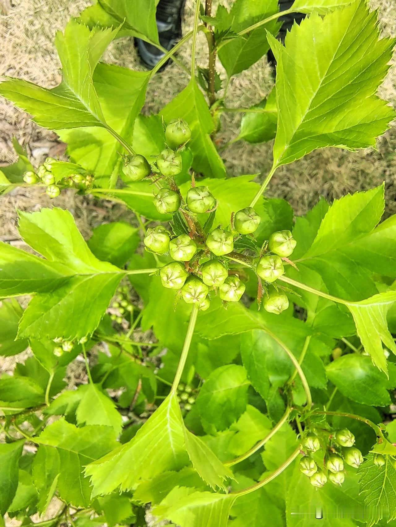 抛开钱不谈
万事需要钱
有钱是老大
没钱少说话
有钱是好汉
无钱去要饭
有钱能娶