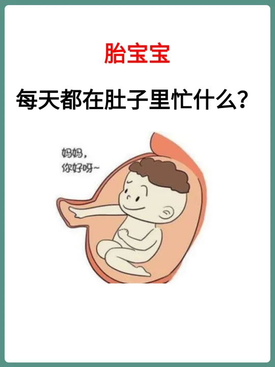 胎宝宝👶🏻在妈妈肚里，每天忙什么呢？
