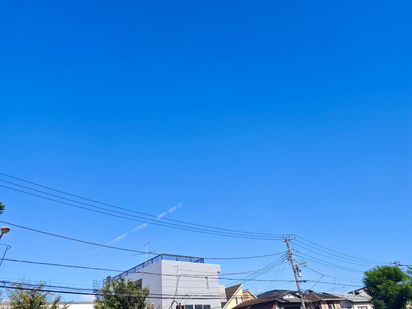 还在暴晒 
