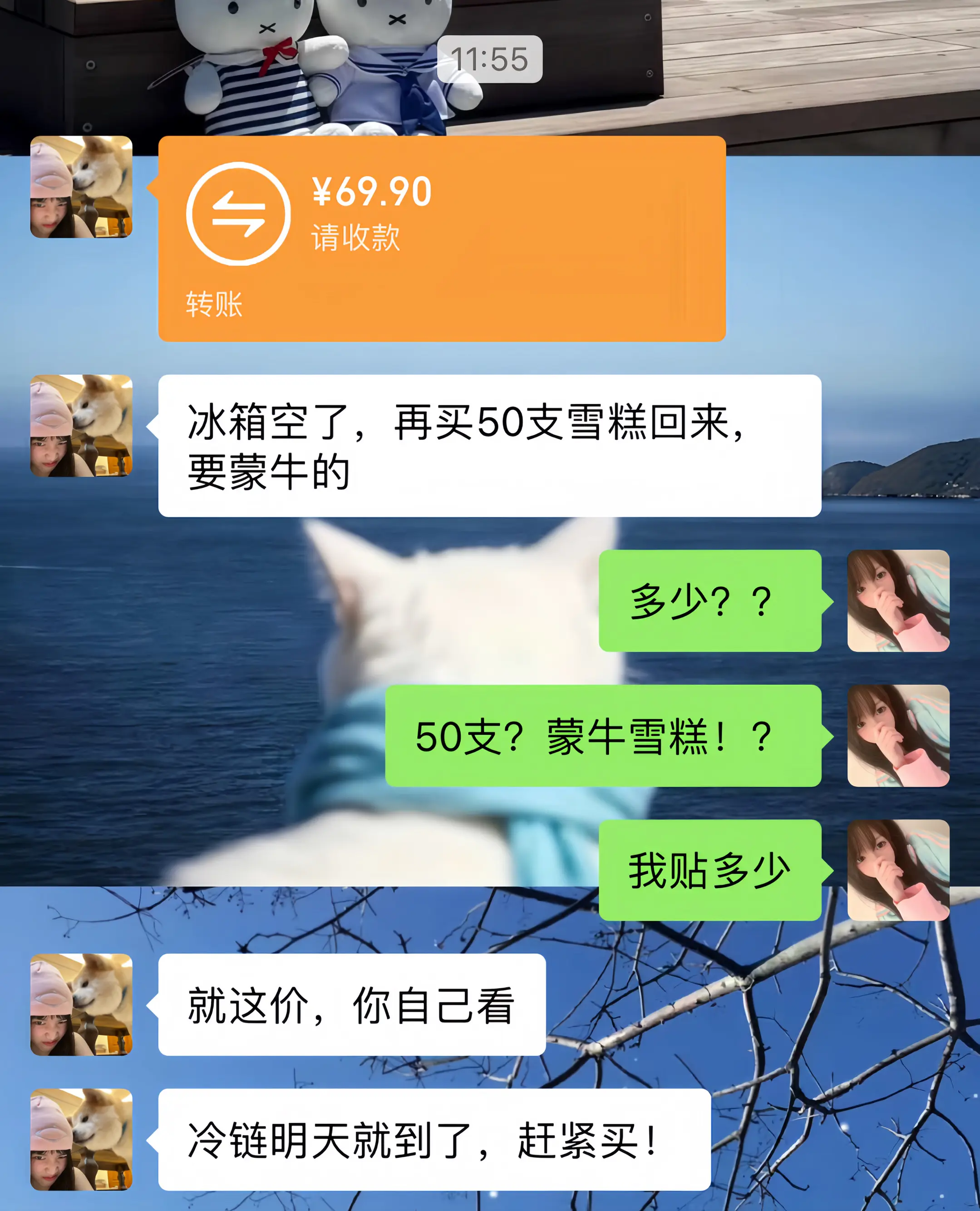 蒙牛雪糕 雪糕 超便宜超划算 蒙牛冰淇淋 薅羊毛的快乐