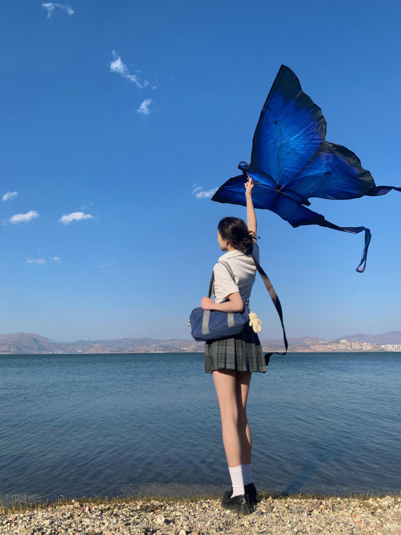 蝴蝶喻盛春 自由且明媚🪁