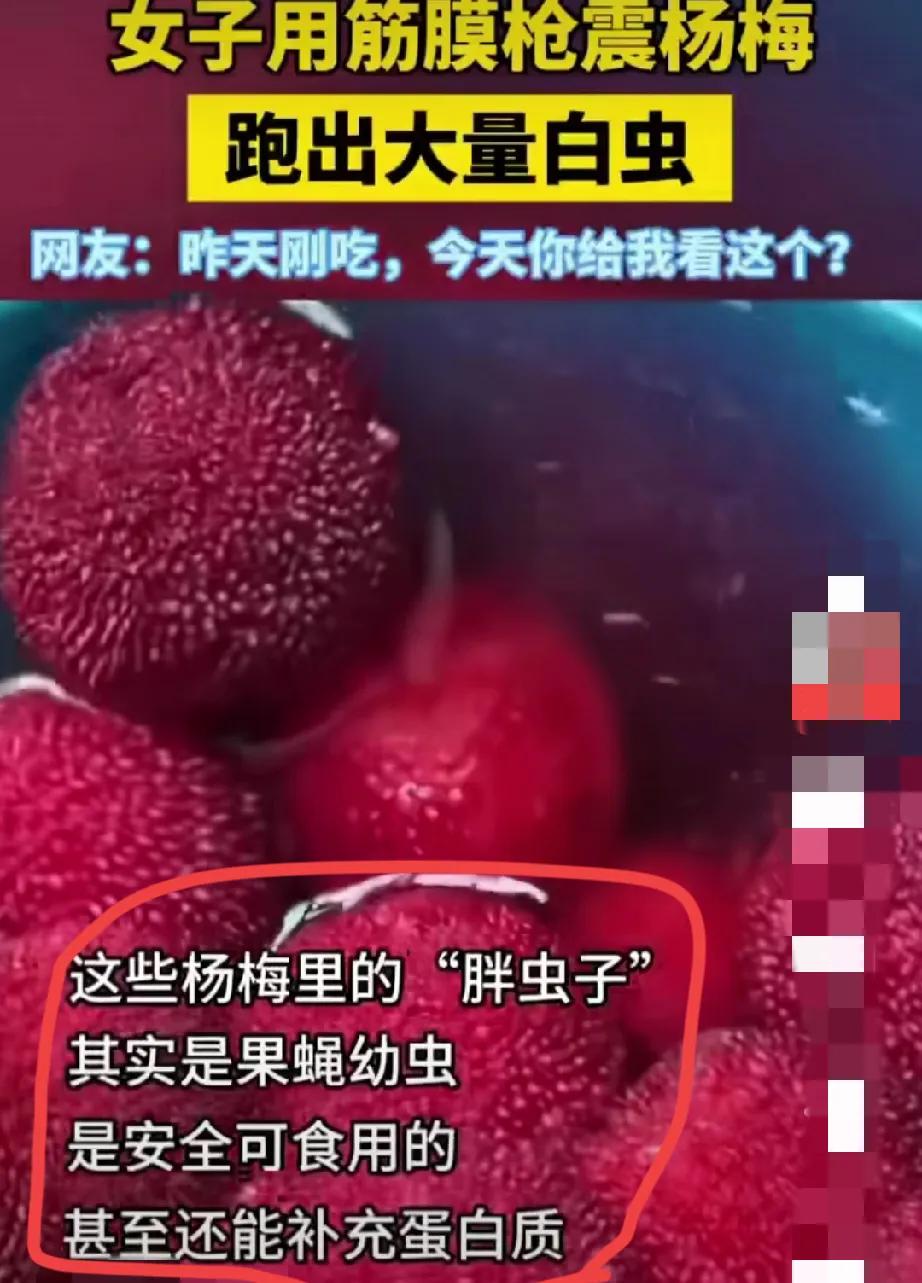 救命！筋膜枪震杨梅震出“虫虫开会”！这届专家的胃是不锈钢做的？
 
刷到个女子用