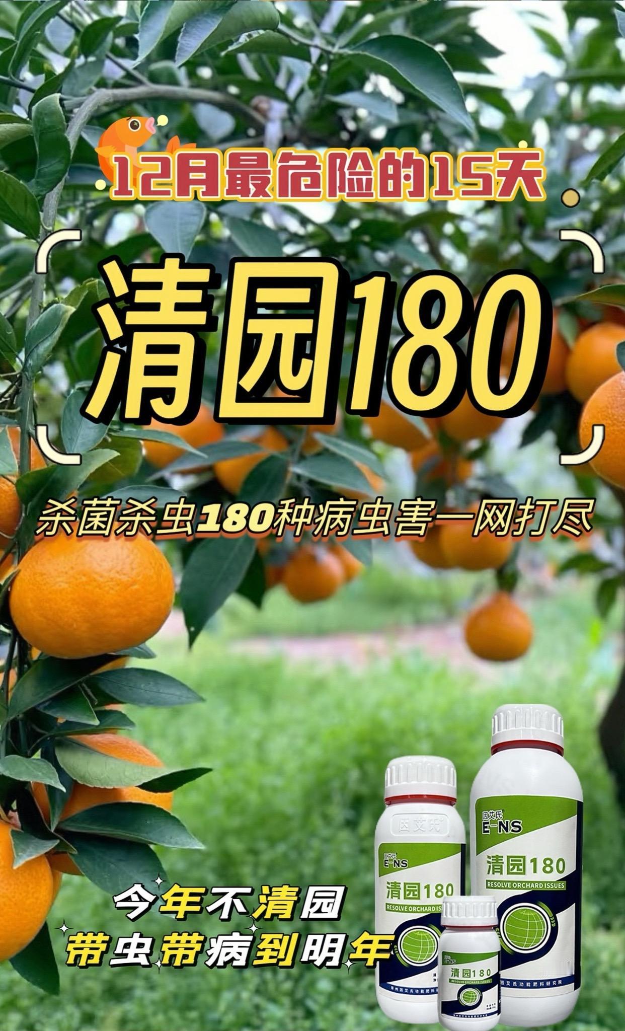 立冬采果完毕要清园,央视推广品牌清园180果树管理 柑橘种植 清园180 柑橘清