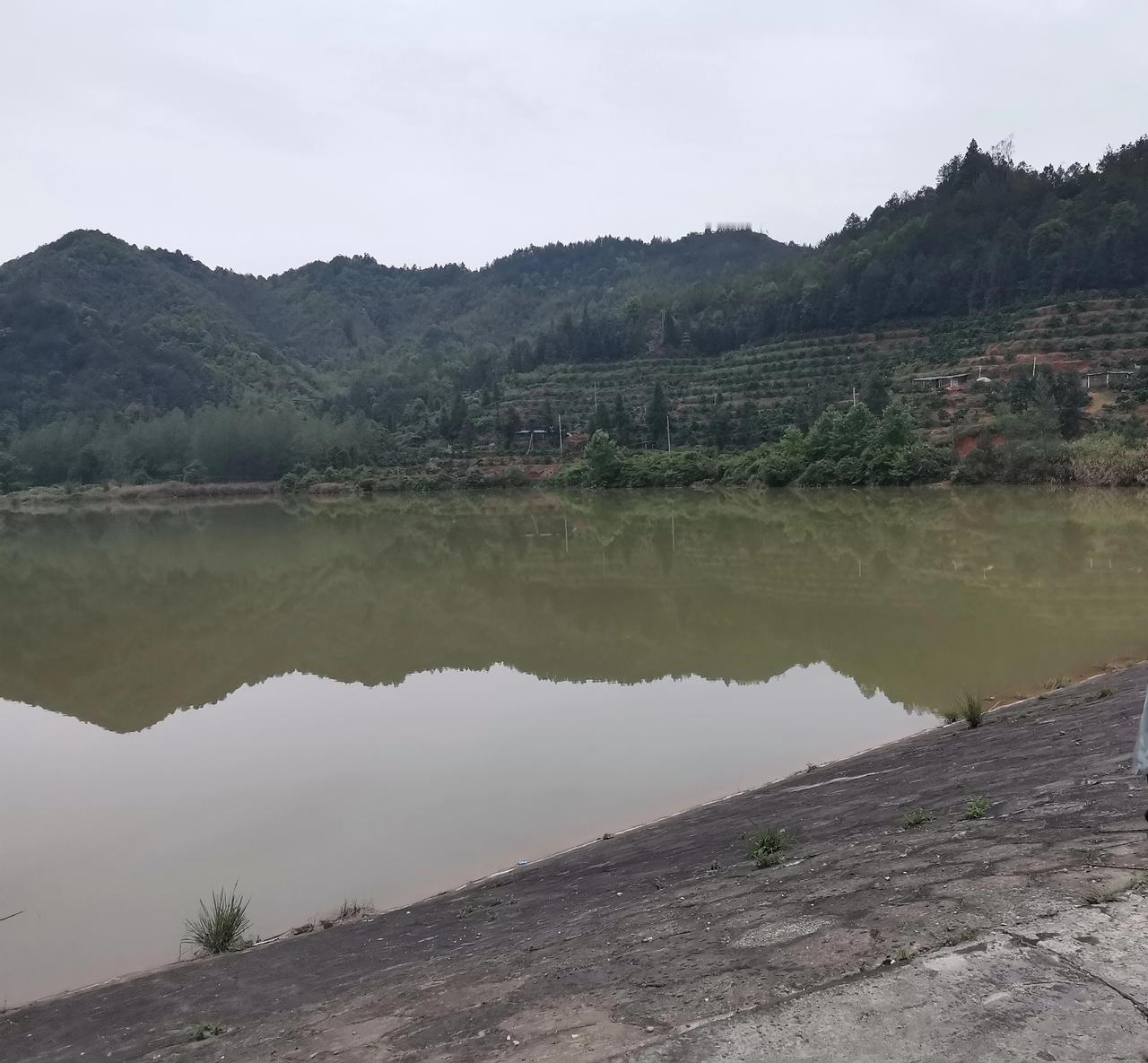为什么普通老百姓的孩子会选择读师范？
是因为认知决定了就业选择，父母眼中都希望自