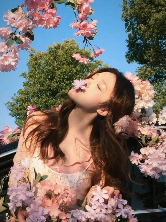 开在春天里的樱花🌸🌸🌸