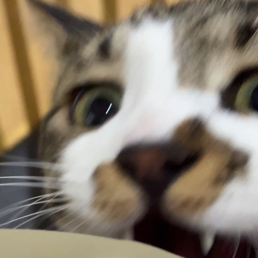 签到签到签到签到又是忙碌的一天，要是不用工作，天上就能掉钱多好啊        