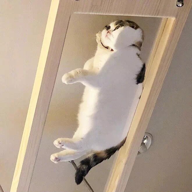 揣手手 ​​​