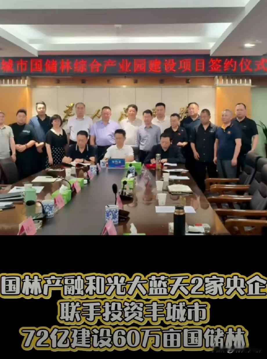 国储林项目意义可大了，它能增加森林资源储备，改善生态环境。丰城这地方本身生态条件