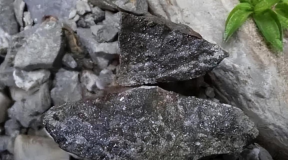 美欧疯抢越南钨矿！看似捡漏暴富，为何难接中国霸主位？

中国刚宣布加强钨矿出口管