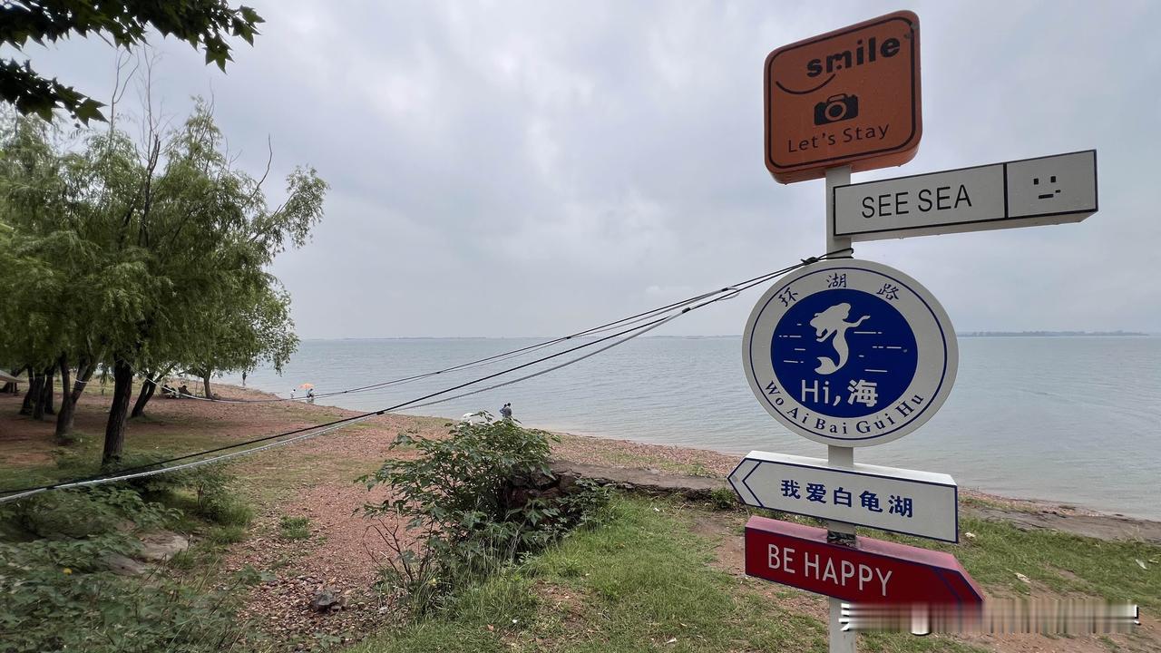 白龟山水库，平日里碧波万顷，可每逢大旱、水位骤降，湖床上便会露出成片的古墓与残垣