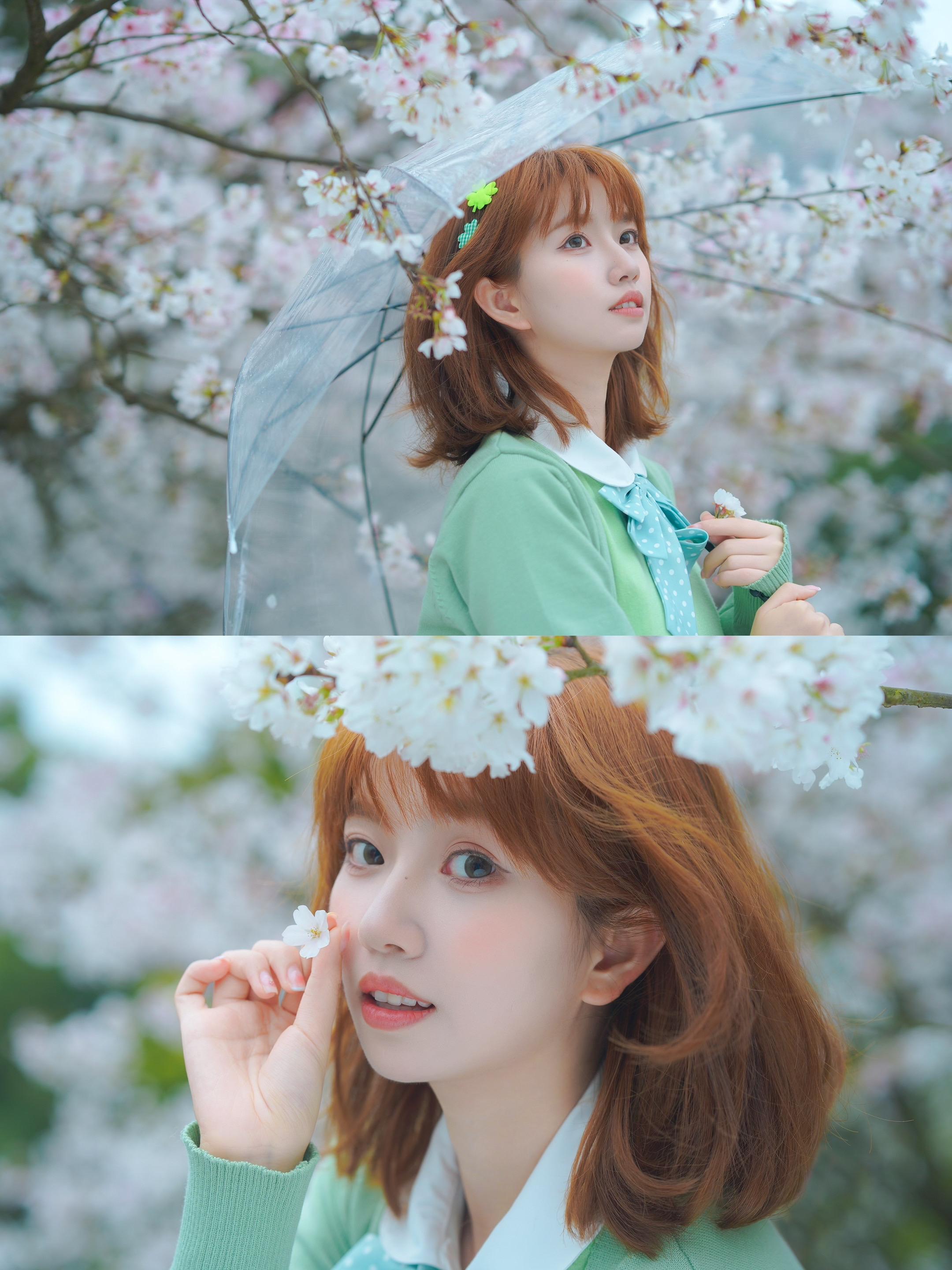 春日来信，属于樱花的约定🌸。