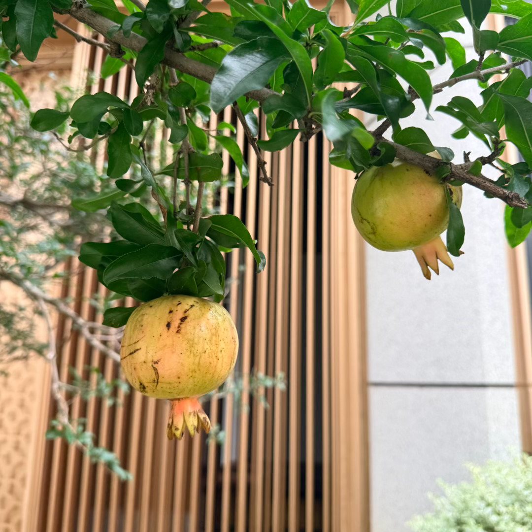那啥崩了，所以，敷衍敷衍应该就可以了～晚安٩(๑´0`๑)۶ 