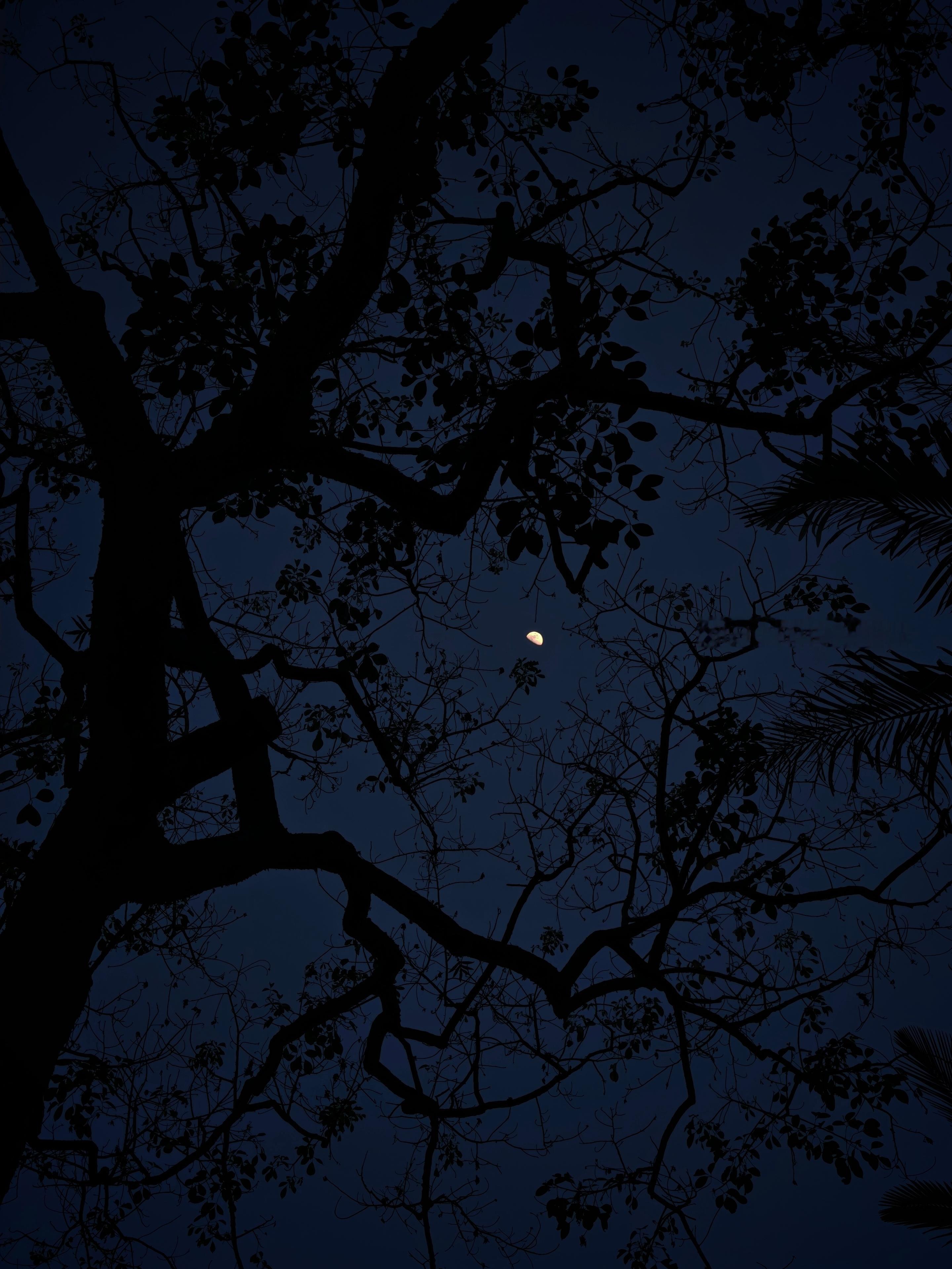 偶遇了蓝调时刻•̀֊•́小米17 Ultra拍摄 