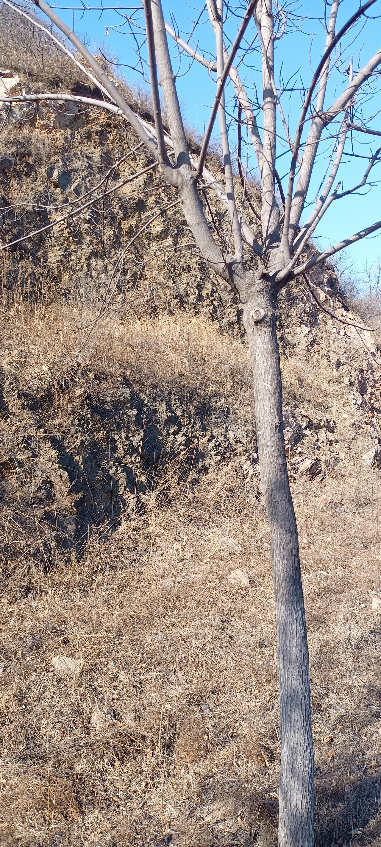 男人也同样有颗八卦的心！
我老公单位放假了，往年都是过年前两天放假，今年放假时间