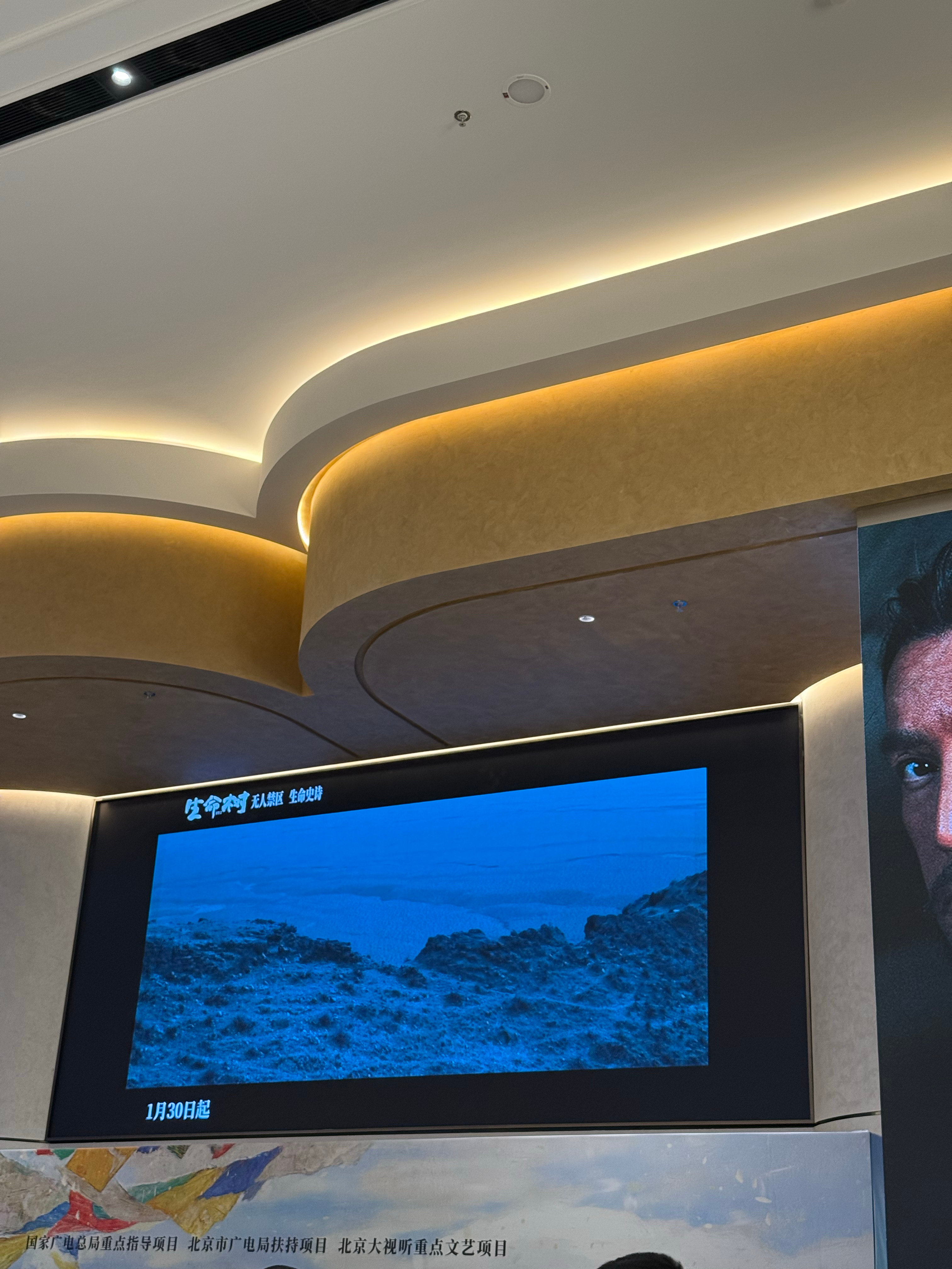 来提前品鉴生命树了。电视剧生命树生命树超前看片反馈生命树探秘无人禁区发布会