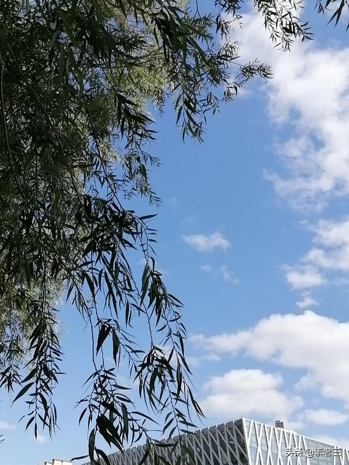 我一个表弟，49岁。彻底躺平，啥也不干了。

表弟以前在一家公司上班，年薪十几万
