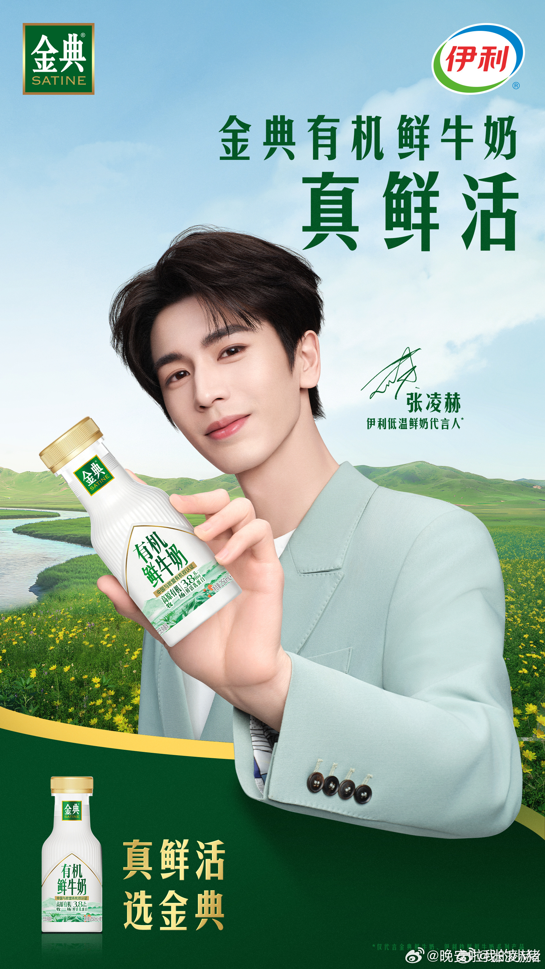 张凌赫官宣金典伊利低温鲜奶代言人