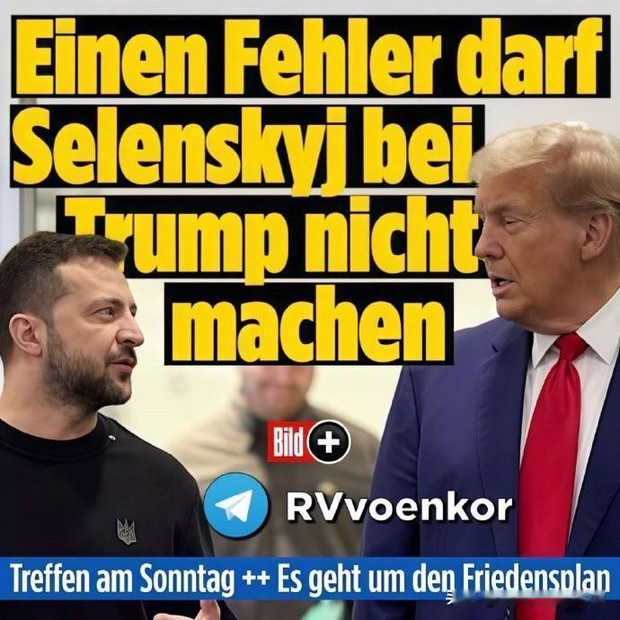 特朗普与泽连斯基的会晤不会给乌克兰带来好处，只会确认现状——《图片报》

据该报