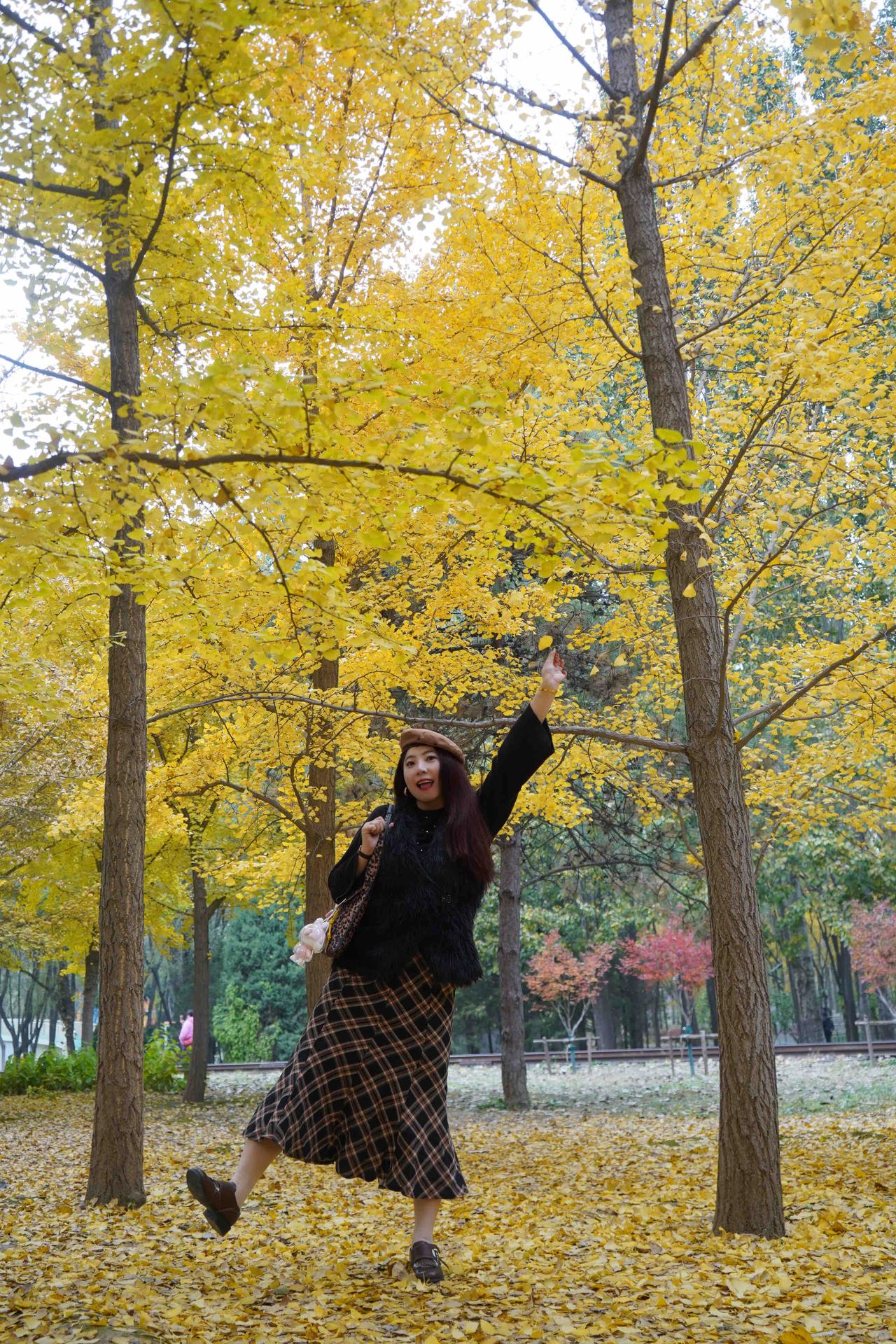 北京将府公园秋色渐浓，开启一场秋日漫游～

在将府公园：荒芜的铁轨枕着厚厚的落叶