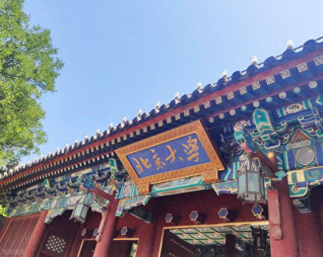 去年考上北大他放弃了，今年又考进北大：这不是任性，是算账