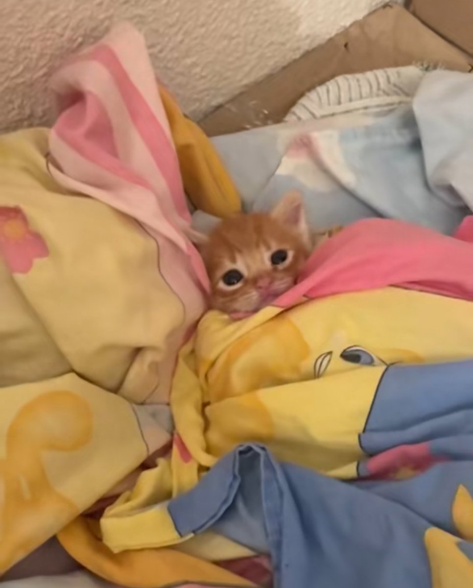 晚安😴 ​​​
