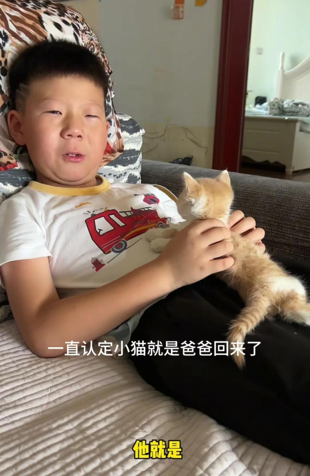 把我看哭了！
小男孩家里来了只小猫，他坚持说是爸爸变的，是爸爸回来了。
小男孩和