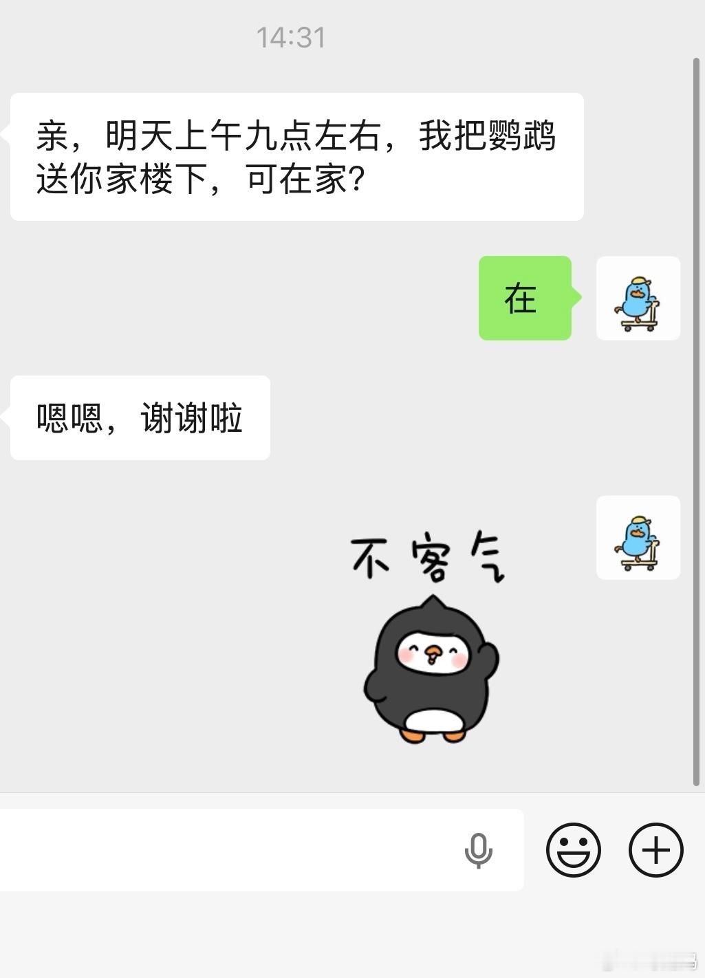 接下来要帮朋友养10天鹦鹉🦜孩子满心期待，我和可儿爸瑟瑟发抖，相当于来了个宠物