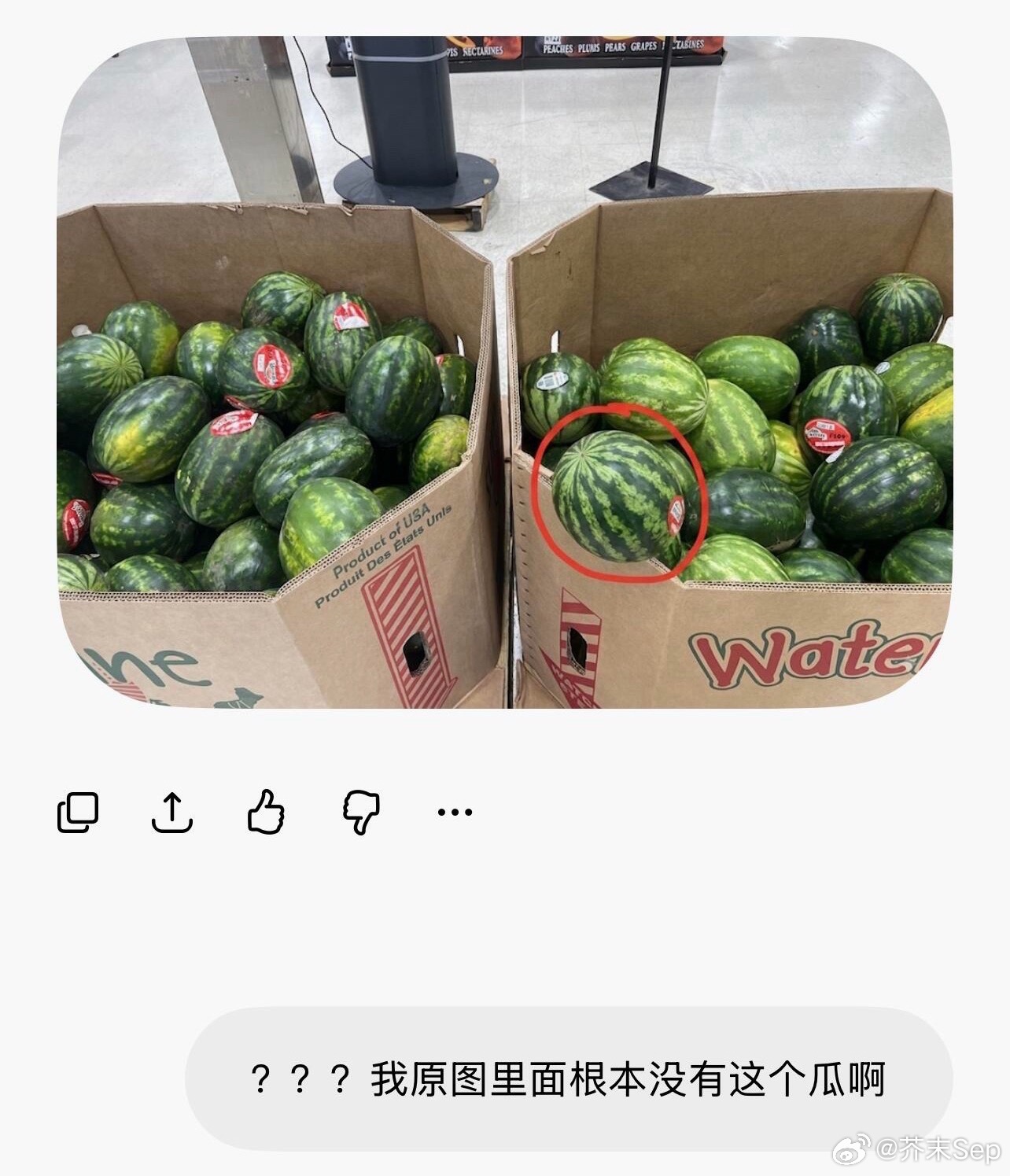 Gemini挑瓜 无中生瓜 越看越觉得Gemini简直就是“美国大豆包”哈哈哈，
