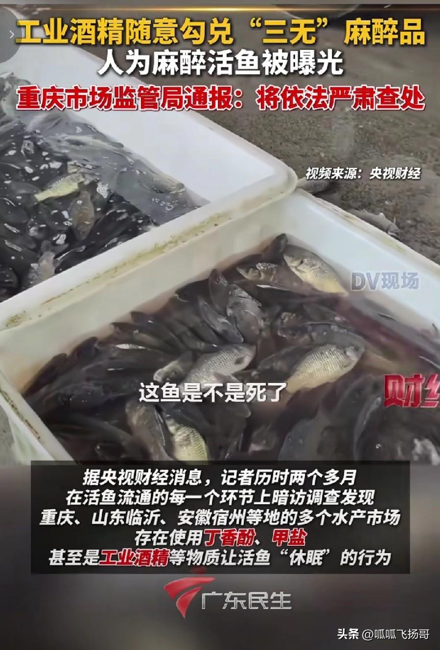 现在总算明白了，同样的鱼 ，小池里面的鱼为什么要比大池里面的鱼卖得便宜？

好几