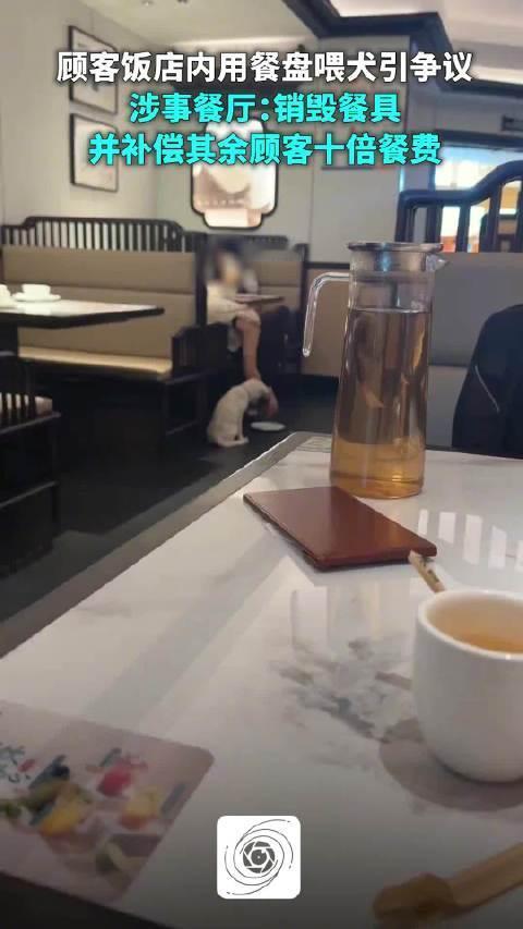 所有后果全由餐馆承担，这样公平吗？带狗入餐馆者为何不承担责任？

8月10日，湖