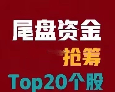 2026年6月15日 A股尾盘30分钟资金抢筹前201. 东山精密 尾盘净流入1