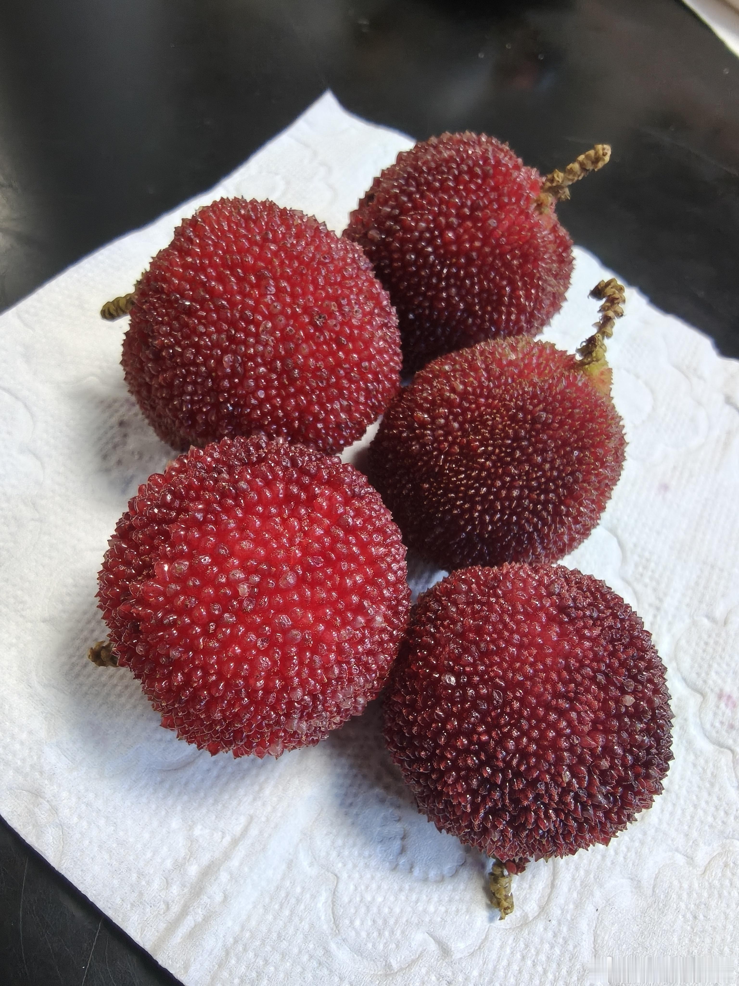 黄岩 杨梅的季节 