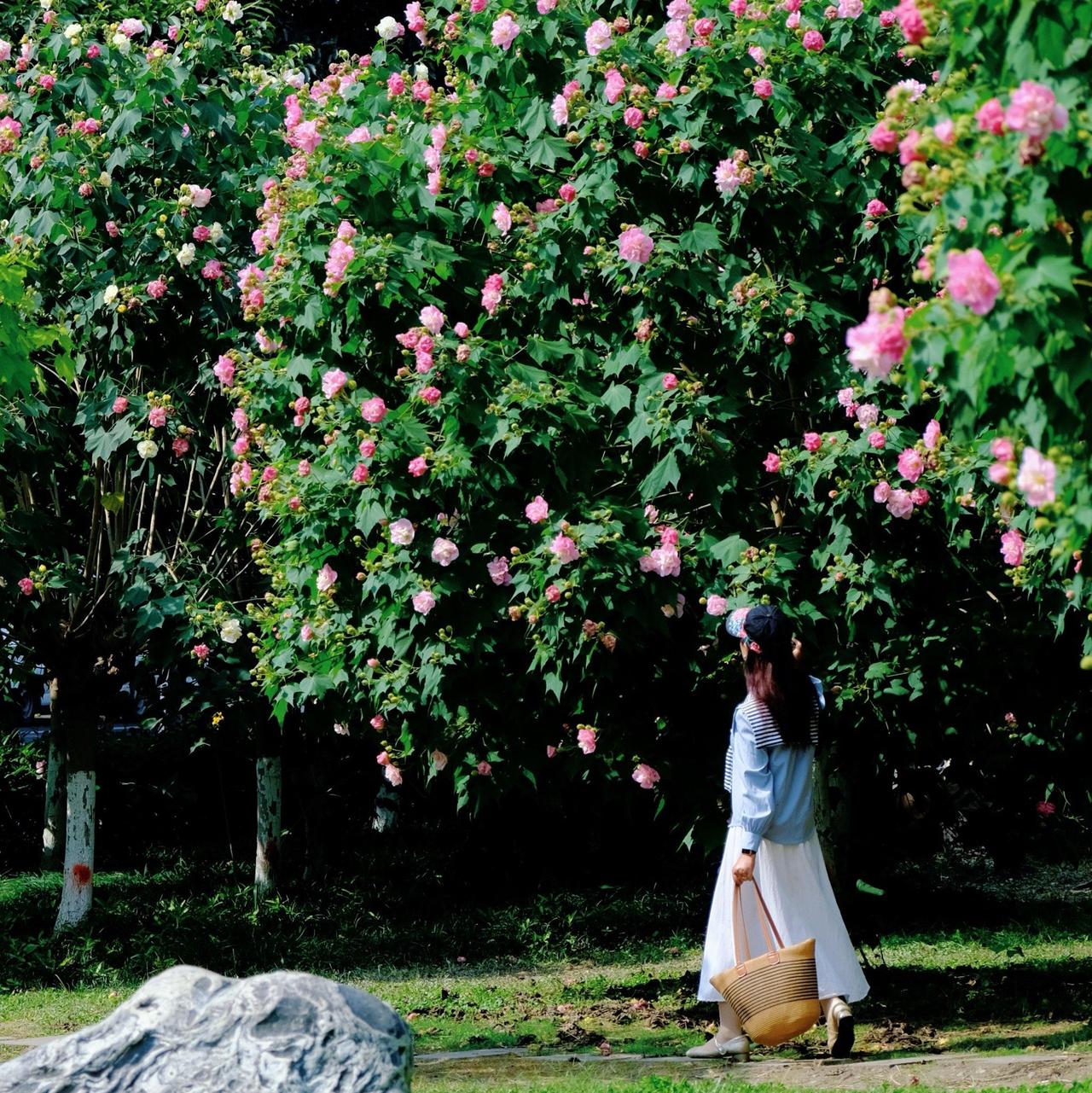 赏花观景：绿翠花红
看图说话：
春日花枝俏，
花间人欢笑。
春色无限好，
绿翠花