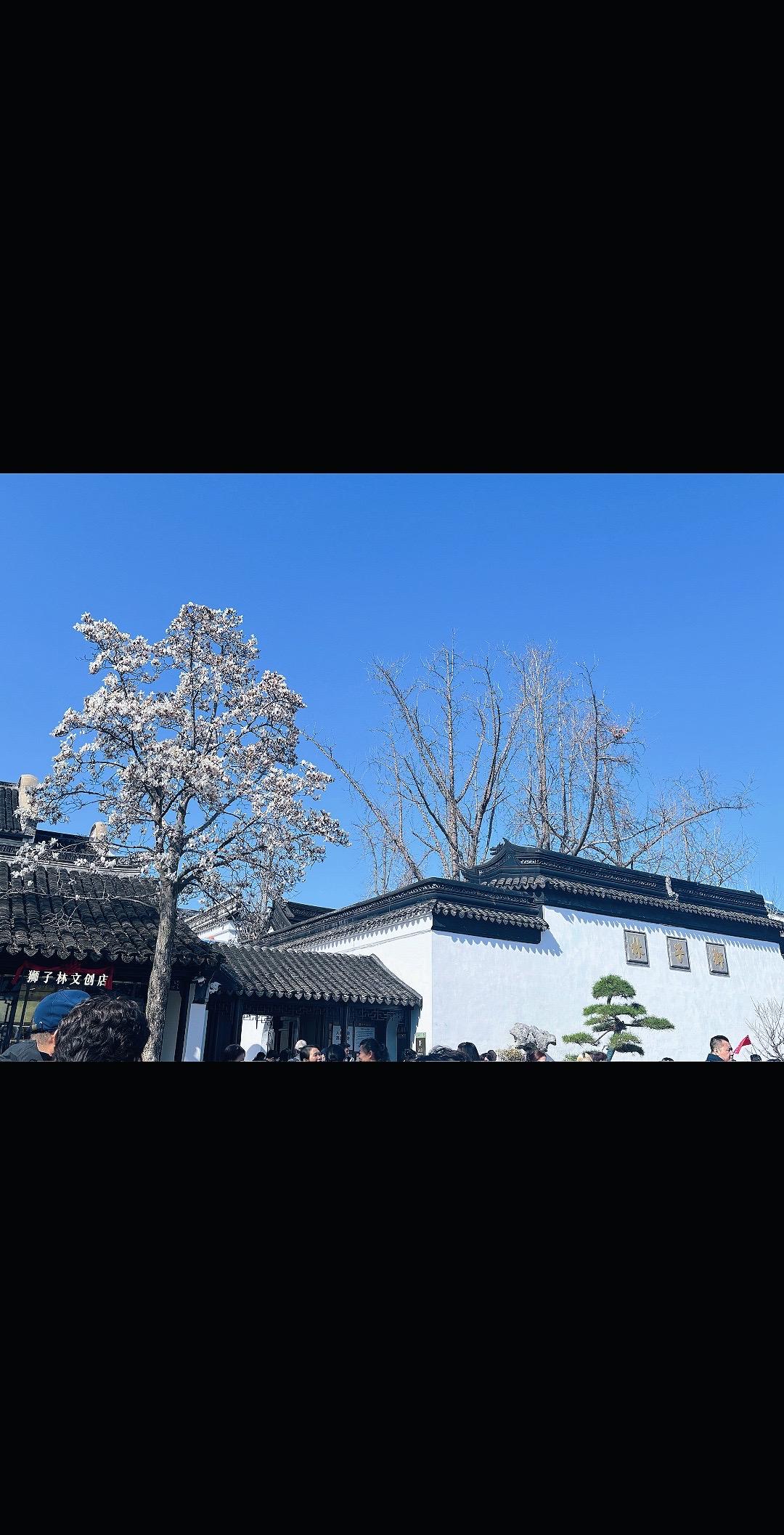 婚姻，究竟是避风港，还是另一座围城？